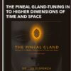 The Pineal Gland -Tuning In To Higher Dimensions of Time and Space - Dr. Joe Dispenza