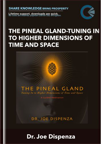 The Pineal Gland -Tuning In To Higher Dimensions of Time and Space - Dr. Joe Dispenza