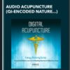 Audio Acupuncture (Qi-Encoded Nature Sounds for Healing, Renewal, and Releasing Stress) - iAwake Technologies