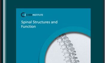CHEK Institute - Spinal Structures & Function
