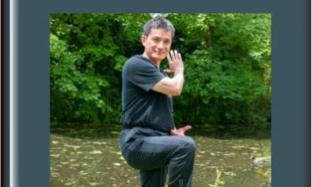 Guardian Qigong: Boost Your Inner Power - Robert Peng