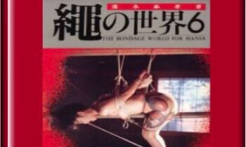 World of Rope 6 - Nureki Chimuo
