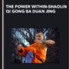 The Power Within-Shaolin Qi Gong BA Duan Jing - Shifu Shi Yanzi