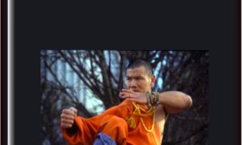 The Power Within-Shaolin Qi Gong BA Duan Jing - Shifu Shi Yanzi