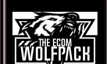 Dropshipping To Branding Course - The Ecom Wolf Pack