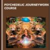 Psychedelic Journeywork Course - Fungi Academy