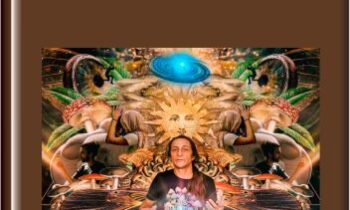 Psychedelic Journeywork Course - Fungi Academy