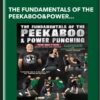 The Fundamentals Of The Peekaboo & Power Punching - Mike Tyson