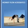 Monkey Flow Acrobatics - Stefan's School of Movement