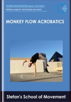 Monkey Flow Acrobatics - Stefan's School of Movement