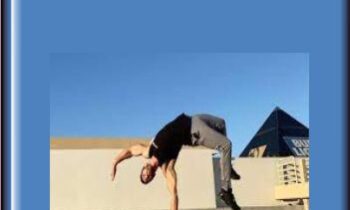 Monkey Flow Acrobatics - Stefan's School of Movement