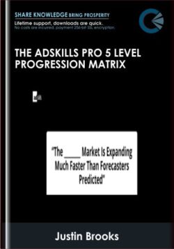 The AdSkills Pro 5 Level Progression Matrix - Justin Brooks (AdSkills)