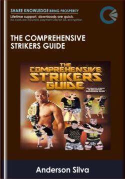 The Comprehensive Strikers Guide - Anderson Silva