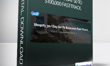Evan - Shopify 30/Day $0 To $100
