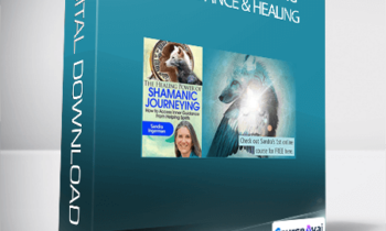 Sandra Ingerman - Shamanic Journeying for Guidance & Healing