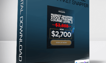 Adam Khoo - Stock Trading Course Level 2 Market Snapper