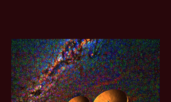 Dr. Abbate - I 7 Passi Verso l'Immortalità