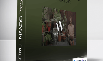 Relationship Funnel Starter from Wild Audience