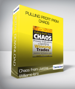 Pulling Profit from Chaos from Justine Williams-lara
