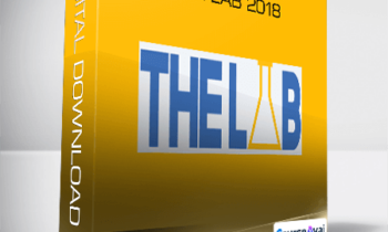 The LAB 2018 - Matt Diggity