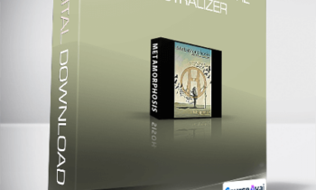 Hypnotics - Metamorphosis: The Neutralizer