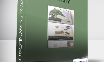 Shinji Suzuki - Bonsai - Works of Divinity