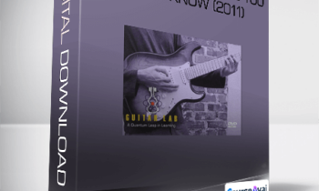 Guitar Lab - 50 Rock Guitar Licks You Must Know (2011)