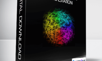 Bashar - 7 Sequential Steps of Manifestation