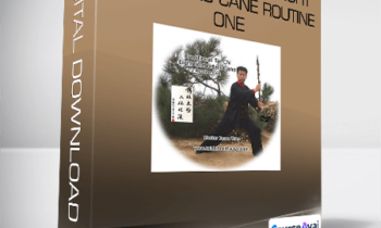 Jesse Tsao - Traditional Tai Chi Eight Immortals Cane Routine One