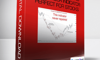 Amazing Day Trading Ninjatrader Indicator Perfect For Stocks. Futures And Forex