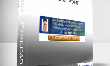 Accelerating your Soul Set Point-Panache Desai