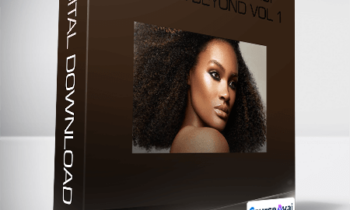 Step-by-Step Makeup Basics & Beyond Vol 1-Danessa Myricks