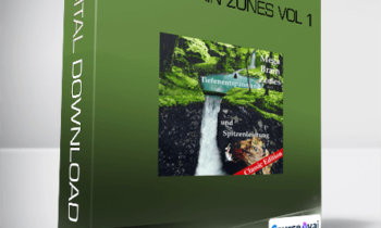 Michael Hutchison - Mega Brain Zones Vol 1 