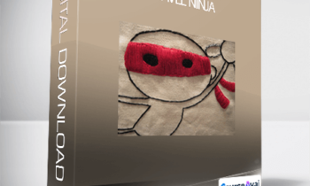 Chris Guillebeau - Travel Ninja