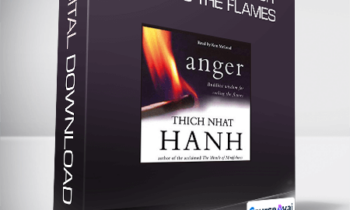 Thich Nhat Hanh - Anger: Wisdom for Cooling the Flames