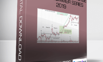 WYCKOFFANALYTICS - WYCKOFF TRADING COURSE (WTC) - Summer Series 2019