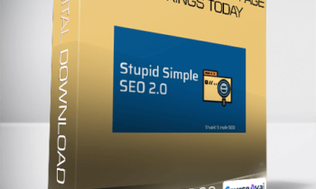 Stupid Simple SEO 2.0 Advanced - Guaranteed Google Page 1 Rankings Today