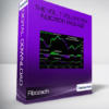 Fibozachi - The Vol. T Volume-Tick Indicator Package