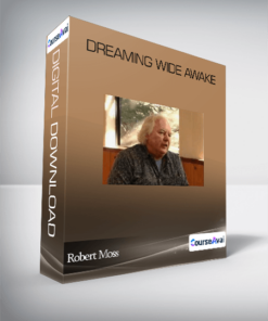 Robert Moss - Dreaming Wide Awake