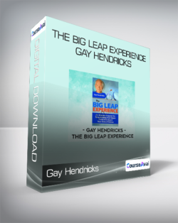 Gay Hendricks - The Big Leap Experience