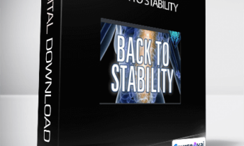 Sam Visnic - Back To Stability
