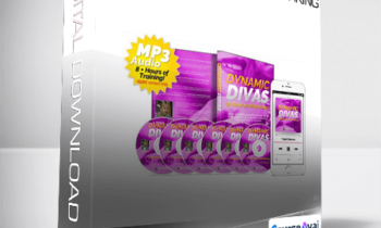 Todd Falcone - Dynamic Divas of Networking