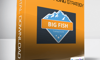 Basecamp - Big Fish Trading Strategy