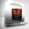 US Business Leads - 9.5 Million US Business Email Leads