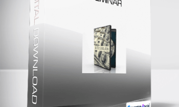 Alan Weiss - $0 to $300.000 Seminar