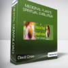 David Crow - Medicinal plants & Spiritual Evolution