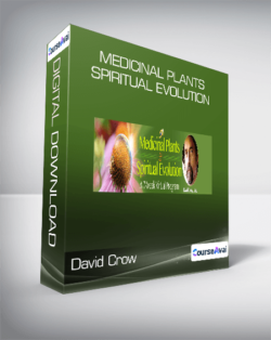 David Crow - Medicinal plants & Spiritual Evolution