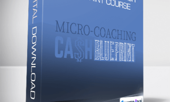 Ray Higdon - Micro-Coaching Cash Blueprint course