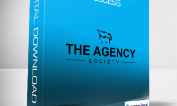 Danny Veiga - Agency Blueprint Success