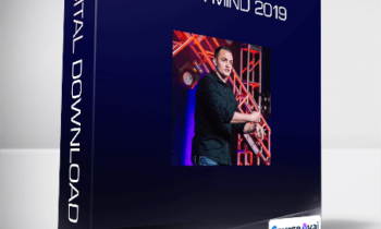 Stephen Larsen - Offer Mind 2019